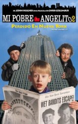 Mi pobre angelito 2: Perdido en Nueva York