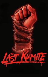 The Last Kumite