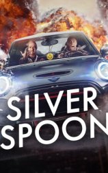 Silver Spoon