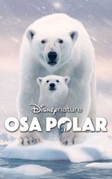 Osa Polar