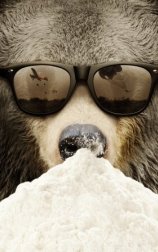 Cocaine Bear: The True Story