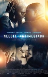 Needle in a Timestack