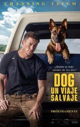 Dog. Un viaje salvaje