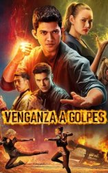 Venganza a golpes